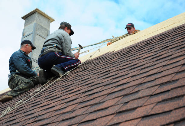 Best Roof Gutter Cleaning  in New Richmond, WI