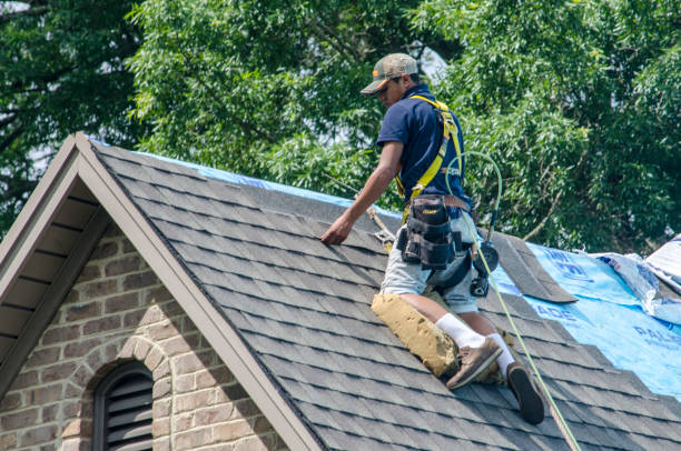 Best Roof Restoration Services  in New Richmond, WI